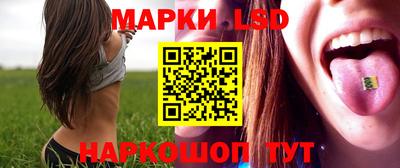 тгк Бердск