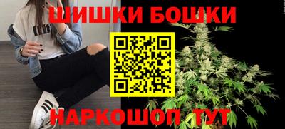 тгк Бердск