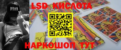 тгк Бердск