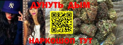 тгк Бердск