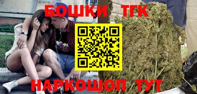 тгк Бердск