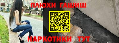 тгк Бердск