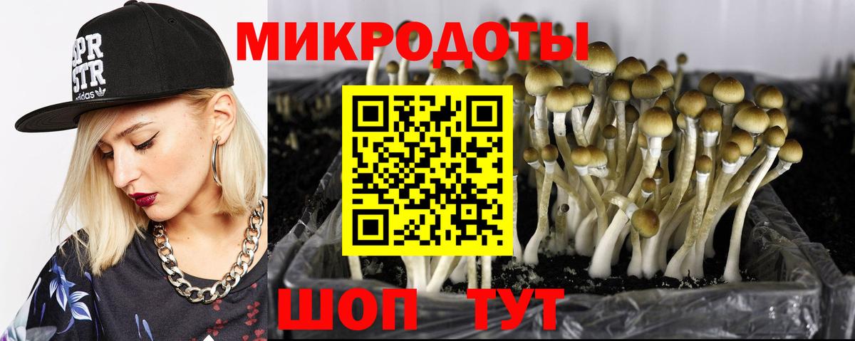 Псилоцибиновые грибы Psilocybine cubensis  Псилоцибиновые грибы ЛСД  Скопин  Вход с VPN 
